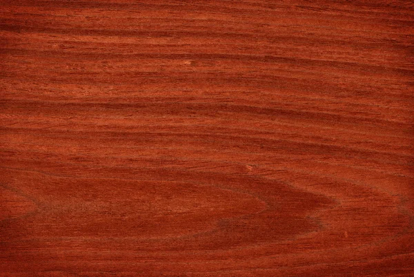 Mahogany (wood texture) — Stock Photo, Image