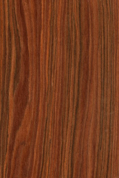 Rosewood (trä textur) — Stockfoto