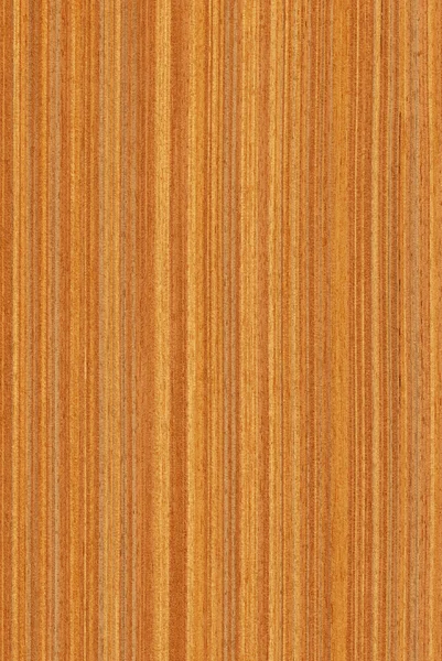 Teak (texturu dřeva) — Stock fotografie