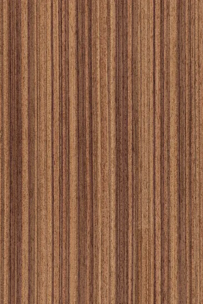 Orzech (struktura drewna) — Zdjęcie stockowe