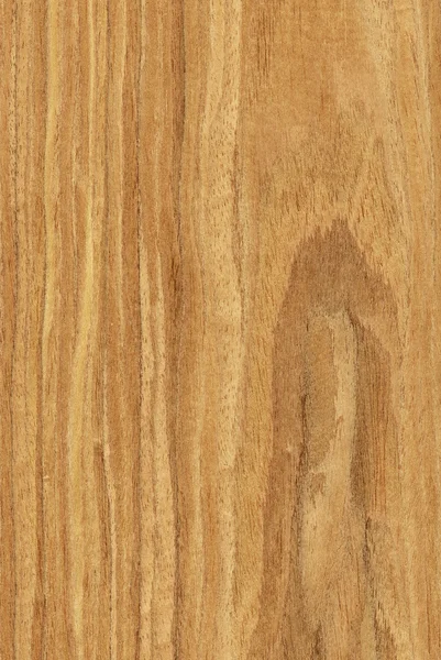 Walnut (houtstructuur) — Stockfoto