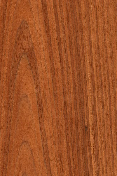 Valnöt (trä textur) — Stockfoto