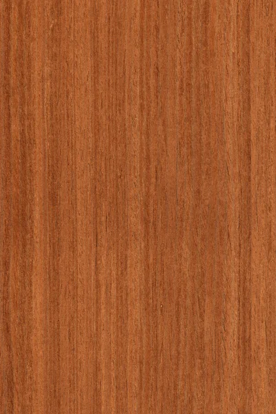 Nogal (textura de madera ) —  Fotos de Stock
