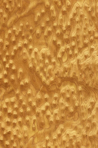 Segatura delle radici di noce (consistenza del legno ) — Foto Stock