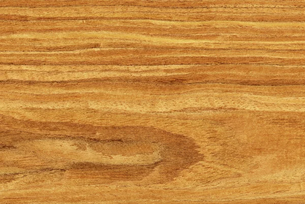Nogal (textura de madera ) — Foto de Stock
