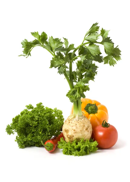 Varias verduras aisladas — Foto de Stock