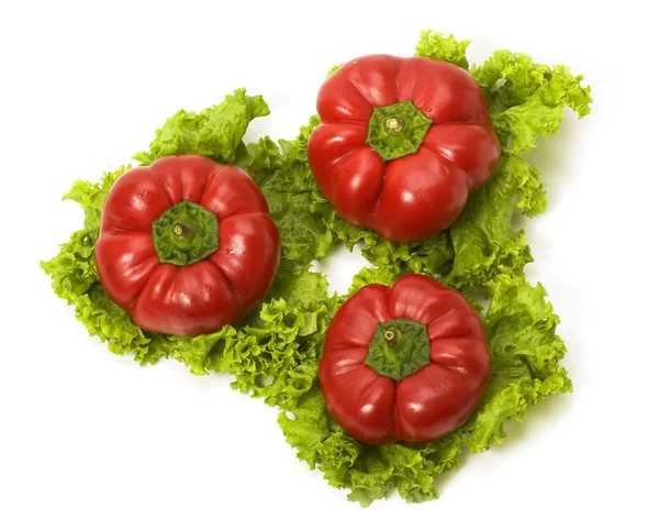 Червоні дзвіночки на листках салату ізольовані — стокове фото