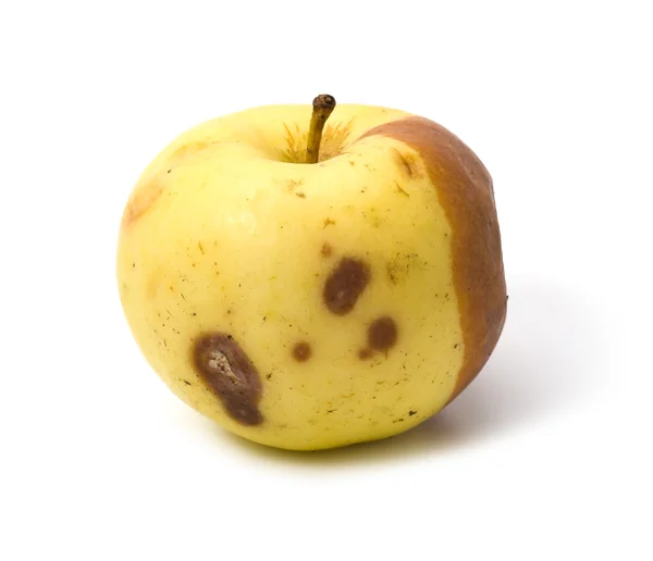 kötü çürük elma izole