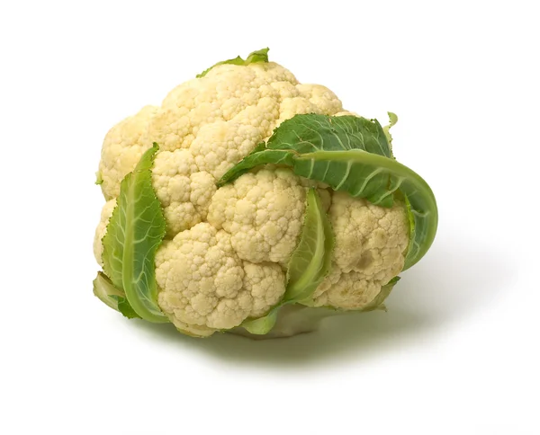 Head of Cauliflower isolated — Stock Photo, Image