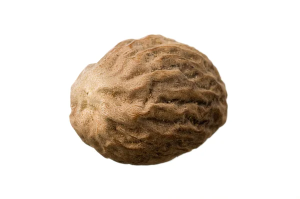 Мускатный орех — стоковое фото