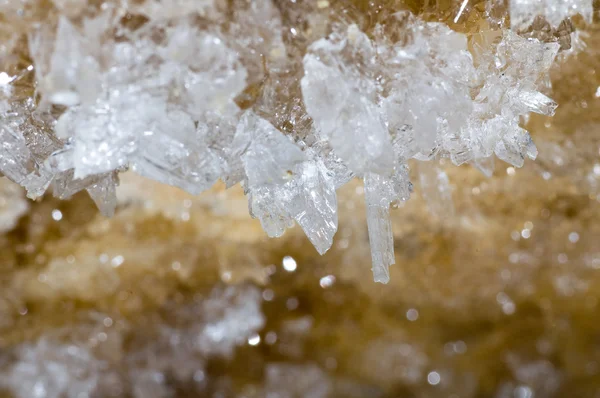 stock image Crystals of gypsum