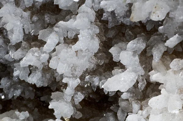 Stock image Crystals of gypsum