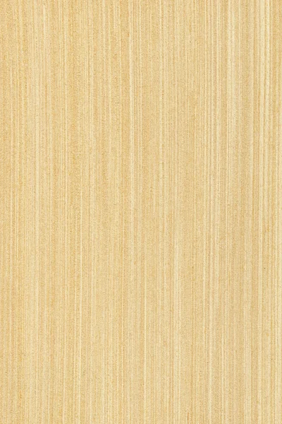Клен (деревини текстуру ) — стокове фото