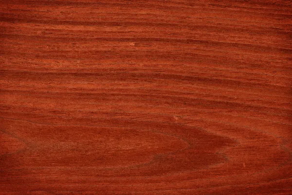 Mahogny (trä textur) — Stockfoto