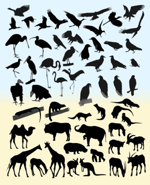 birçok farklı hayvan ve kuş silhouettes