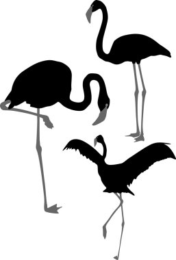 Silhouettes of pink flamingo clipart