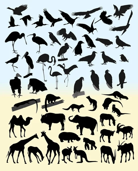 stock vector Many silhouettes of different animals and birds