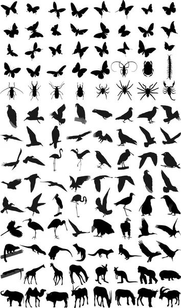 Muchas siluetas de diferentes animales, aves e insectos — Vector de stock
