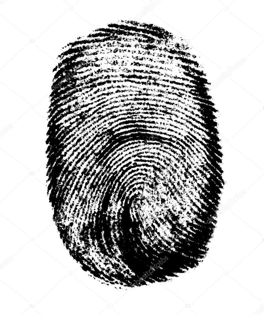 Vector fingerprint
