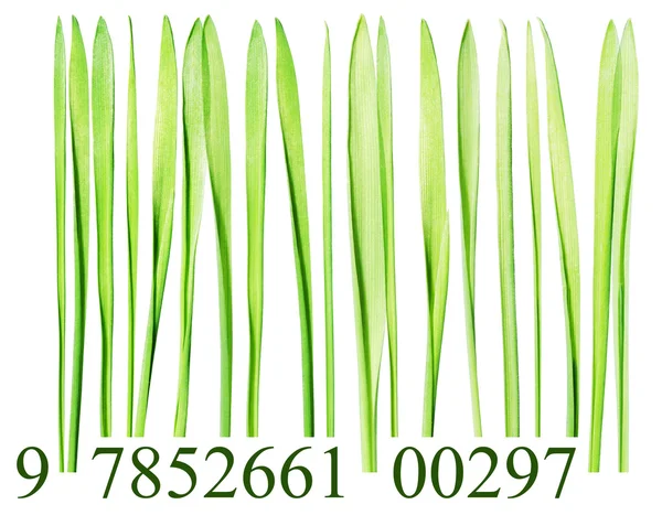Código de barras hecho de hojas de hierba —  Fotos de Stock