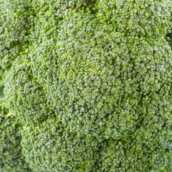 Dettaglio colpo di broccoli — Foto Stock