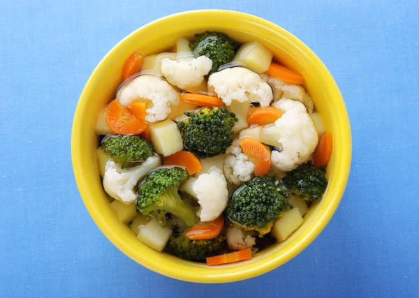 stock image Bowl of vegetable soup