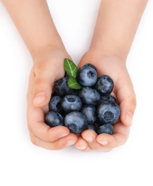 女孩手牵成熟的蓝莓 — 图库照片