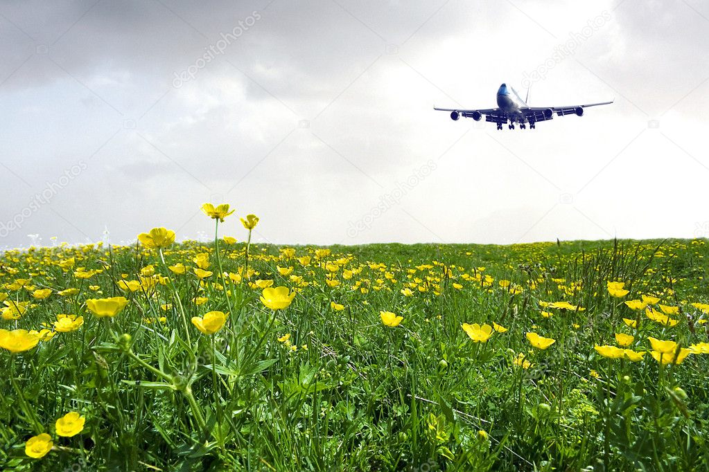 The airplane fields