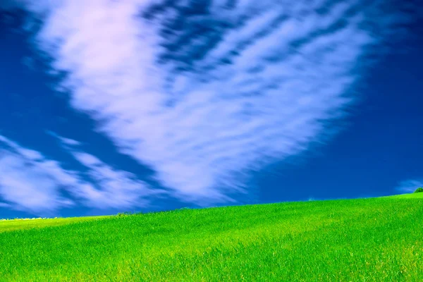Πράσινο Γεωργικό Τομέα Κάτω Από Κινούμενα Συννεφιασμένο Ουρανό — Φωτογραφία Αρχείου