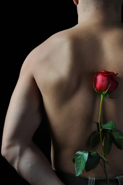 该名男子手持一朵红玫瑰 — 图库照片