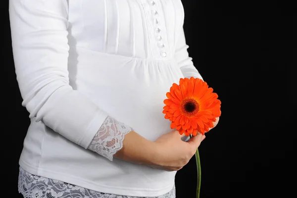 Beautiful young pregnant woman — Stock Photo, Image