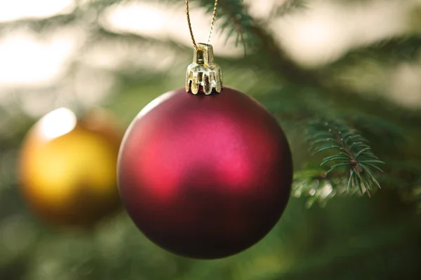 Rode Kerstmis bal op een kerstboom — Stockfoto