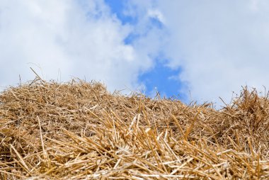 Straw, hay background clipart