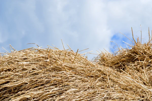 Straw, hay background — Stock Photo, Image