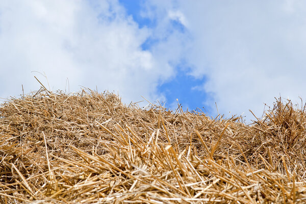 Straw, hay background