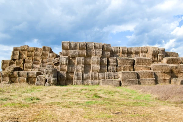 Haystacks fardos no campo — Fotografia de Stock