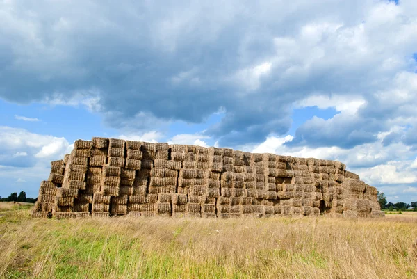 Haystacks fardos en el campo — Foto de Stock