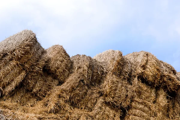Haystacks fardos no campo . — Fotografia de Stock