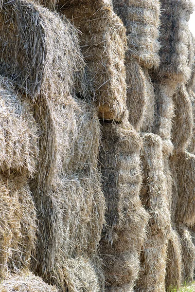 Straw, hay background — Stock Photo, Image