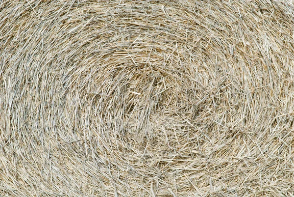 Straw, hay background — Stock Photo, Image