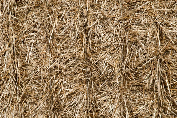 稻草、 干草背景 — 图库照片