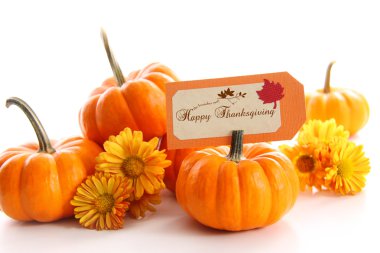 Small pumpkins with chrysanthemums and card clipart