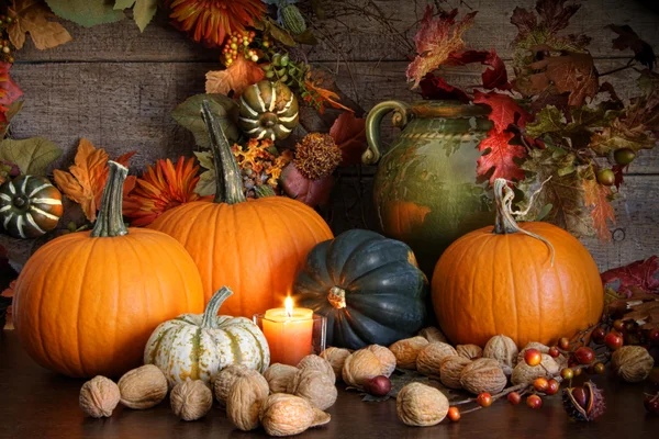 Stilleven oogst decoratie voor thanksgiving — Stockfoto