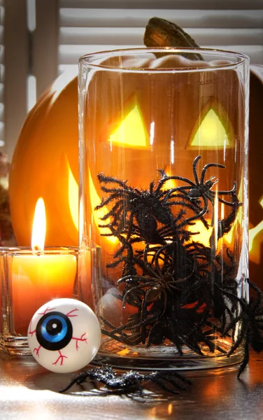 Arañas en contenedor de vidrio para Halloween —  Fotos de Stock