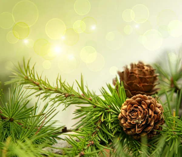 Pine cones on branches with holiday background — Stock Photo, Image