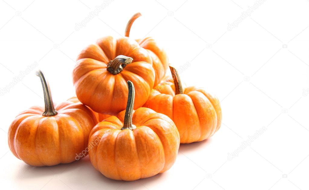 small pumpkins on white on white stock photo sandralise 4175452