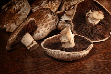 Closeup of fresh portabello mushrooms clipart
