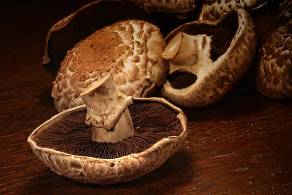 신선한 포토 벨로 버섯 — 스톡 사진
