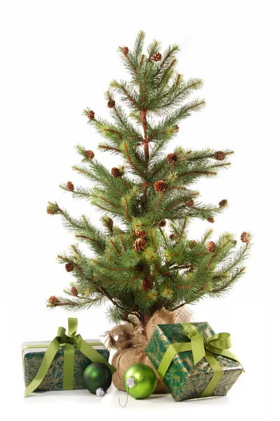 Μικρό χριστουγεννιάτικο δέντρο με τα δώρα σε λευκό — Φωτογραφία Αρχείου