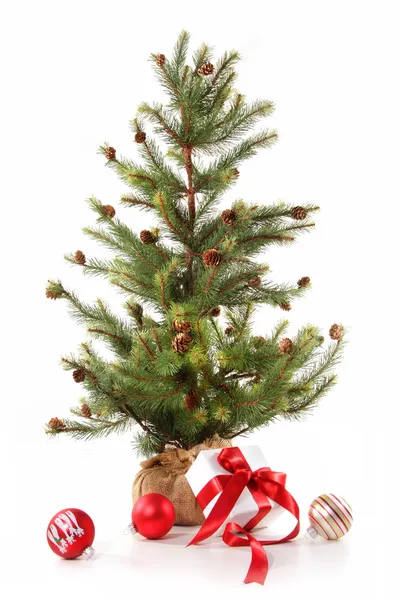 Pequeño árbol de Navidad con regalos de cinta roja en blanco — Foto de Stock